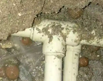 召陵测漏水多少钱