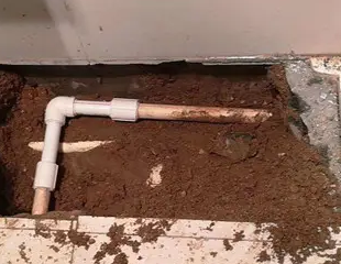 召陵测漏水哪家好