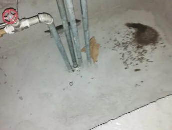 召陵卫生间测漏水价格明细